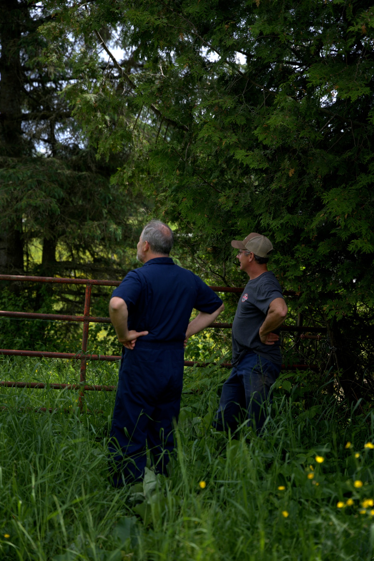 Consultation sur la ferme