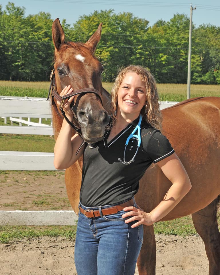 Vétérinaire avec un cheval